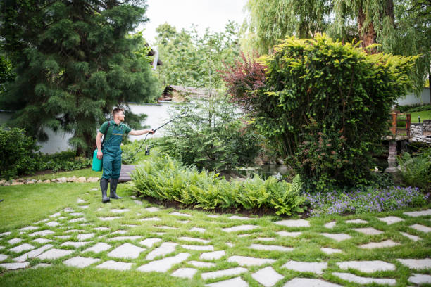 Best Mosquito Control Services  in Cridersville, OH