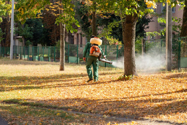 Best Local Pest Control Services  in Cridersville, OH