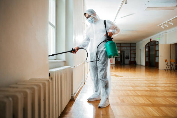 Best Ant Control Services  in Cridersville, OH